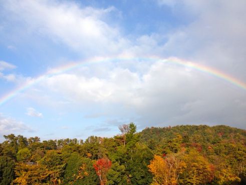 For our first wedding anniversary Lisa and I visited Hiroshima Nov. 23-25 (Our anniversary is Nov. 22). We visited the Peace Park, Miyajima and Shukkeien Garden.