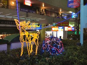 My favorite Christmas decoration ever - the clotheslined reindeer outside our neighborhood department store in Sasazuka.