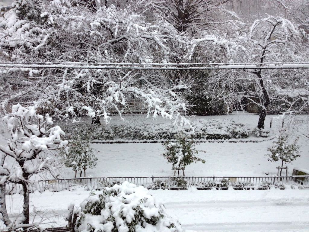 On Monday, Jan. 14, 2013, we got a shitload of snow here in Tokyo. This was the view from the third floor entryway.