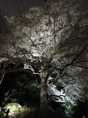 One of my favorite pics. 