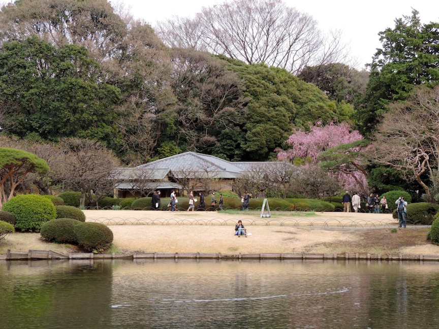 This girl found a nice quiet place to read, but she could not escape my zoom lens.
