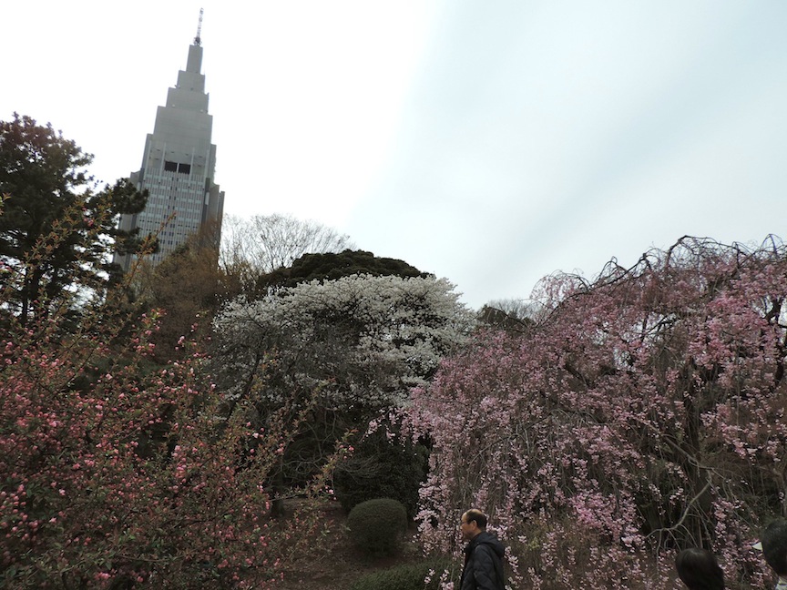 I enjoyed the juxtaposition of nature and metropolis.