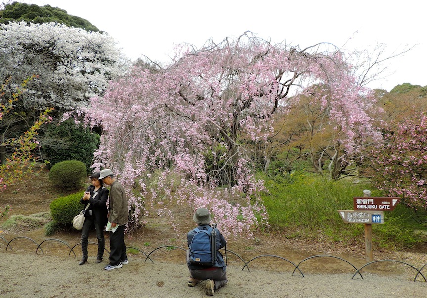 About 50 percent had professional photography gear while the other half were using cell phones.