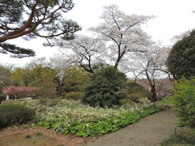 The only reason I include this photo is because there are (almost) no people. I found one corner of the park that nobody was particularly interested in, and I still waited for 2 minutes for all of the pedestrians to clear out so I could get one photo with relatively no people.