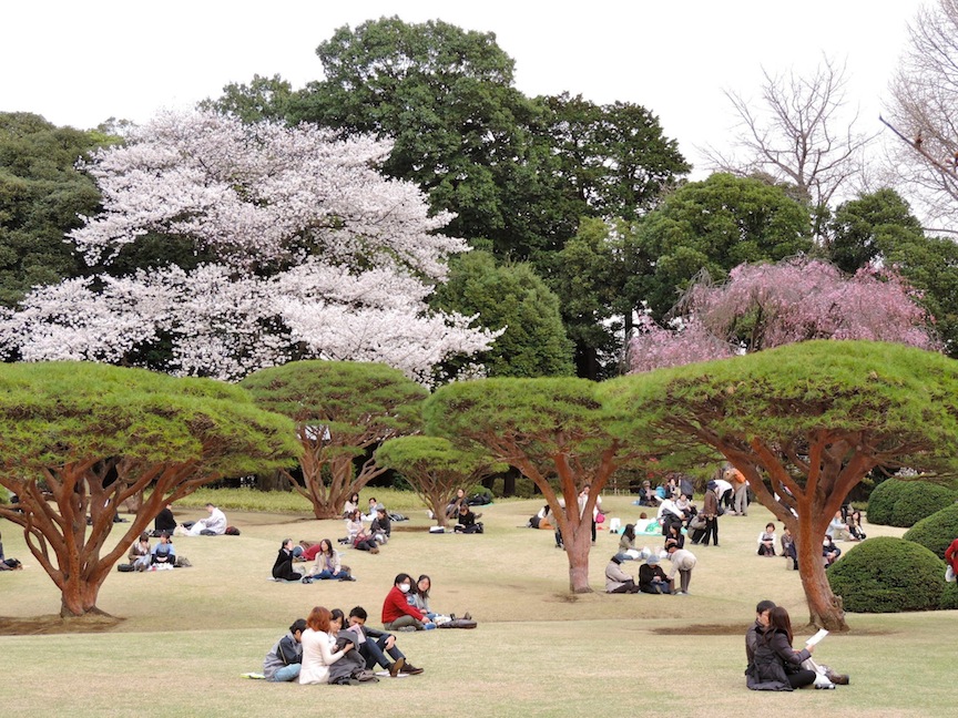 Some people were playing cards. Some people were painting, some were writing. I was snooping.