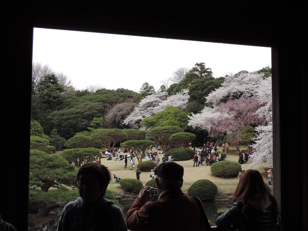 I was pretty happy with the photos I was able to take from the observation deck.