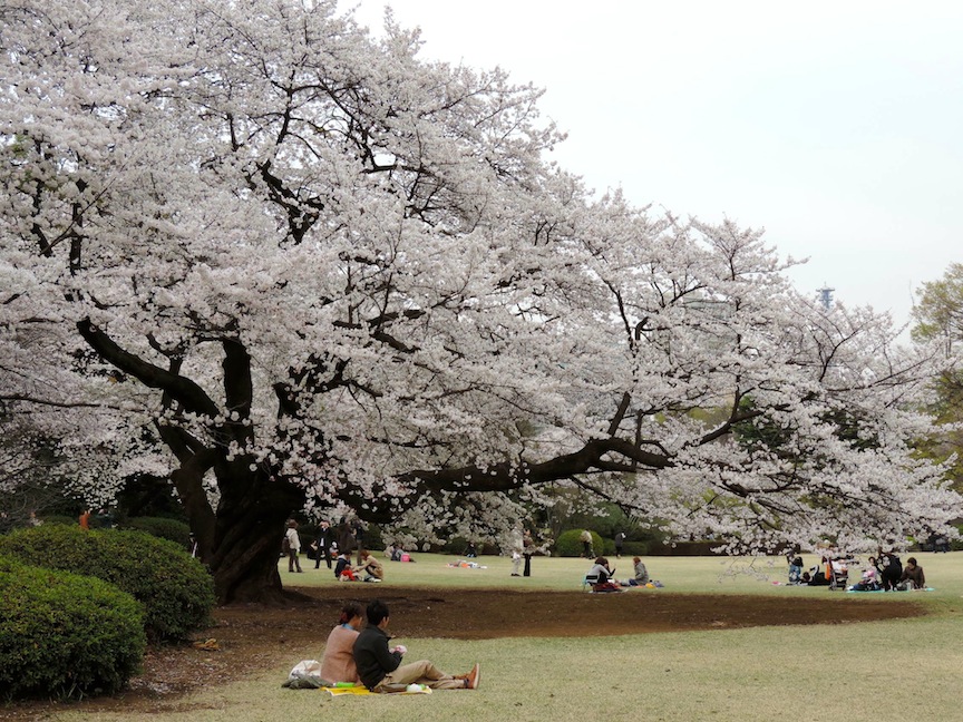 I mean, I guess you could talk to each other if that is your sort of thing.