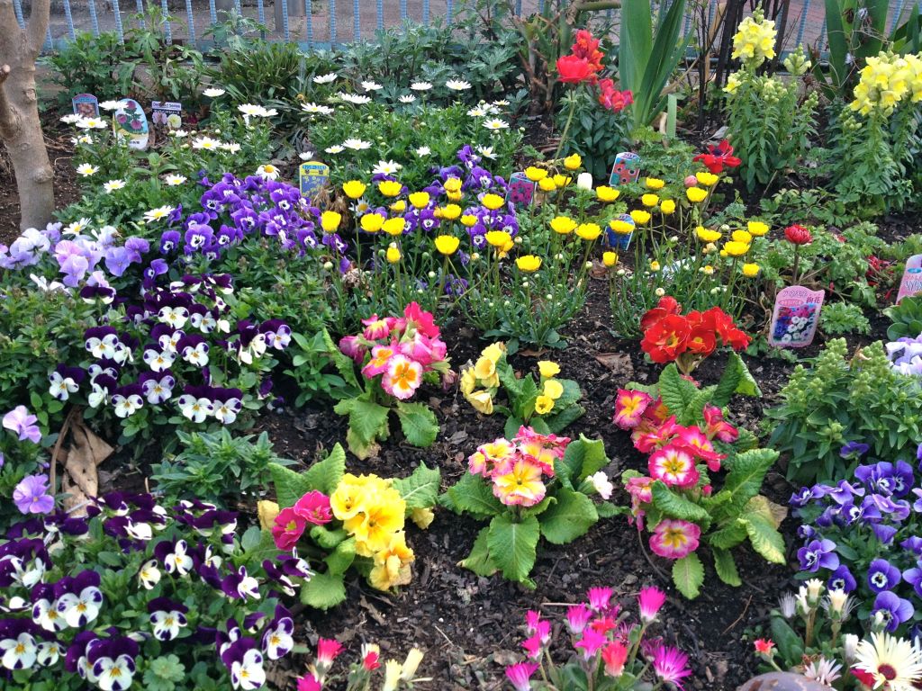 There is a communal garden near our home that is immaculate.