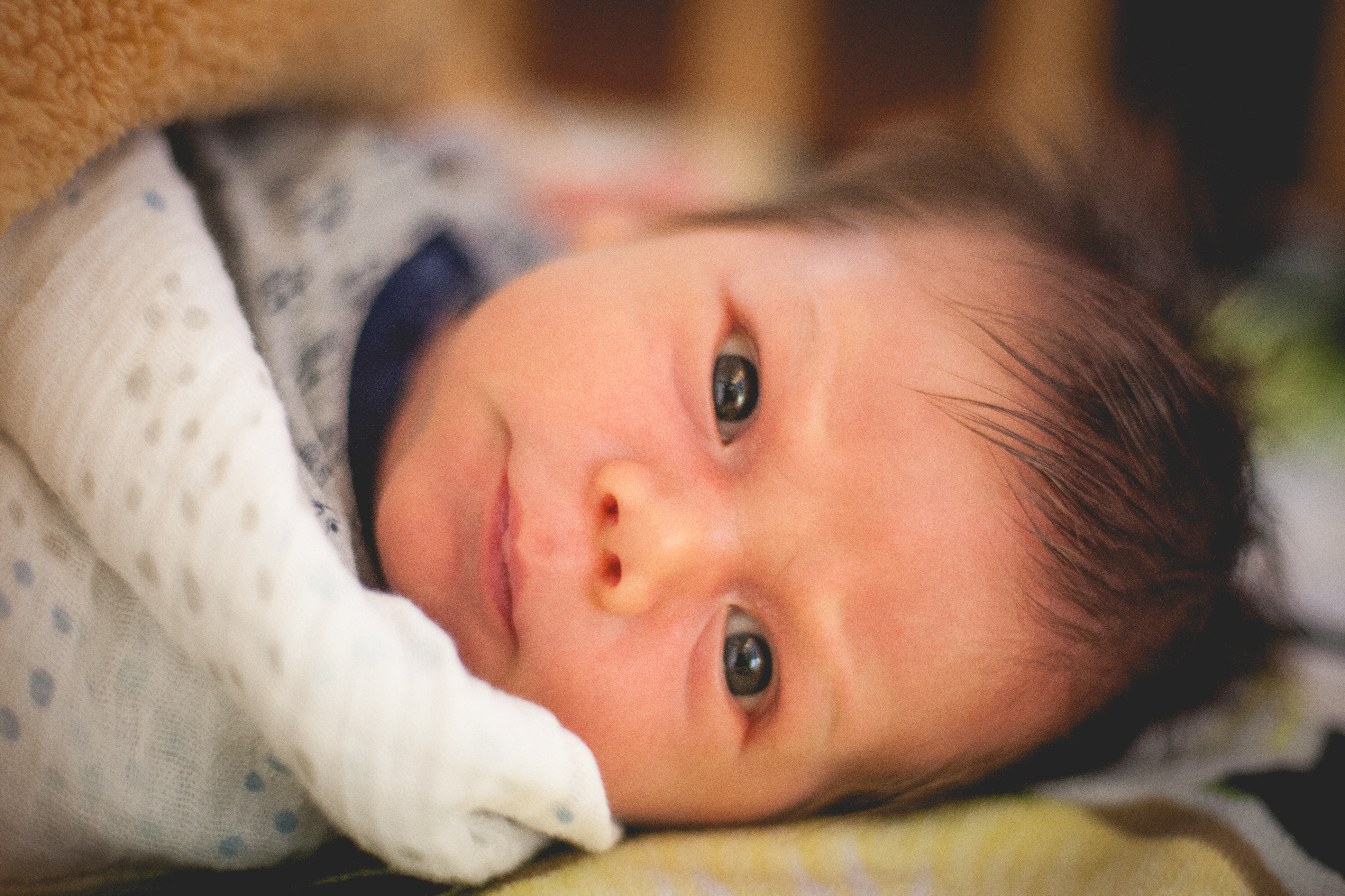 BrianScottPeterson_6Y4K6681_20150115